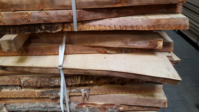 Wide boards with natural edges at the supplier’s timber yard.
